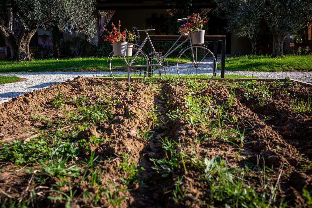 Relais San Baio Bed & Breakfast Cecina  Exterior photo